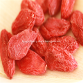 Ningxia Goji Berry Organic Goji Berry